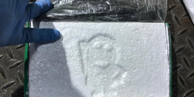 В порту “Южный” обнаружили 46 брикетов с кокаином (ФОТО, ВИДЕО)