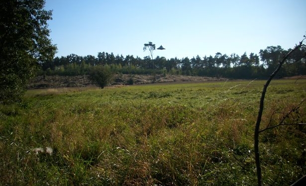 В Польше сняли НЛО – “это лучшее фото за 40 лет” (ФОТО)