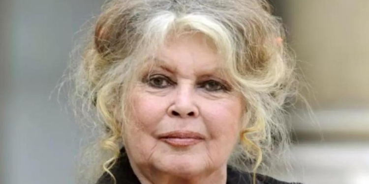 «Спасите Мориса»: во Франции хотят усыпить дикого кабана, который с детства жил возле людей. За животное вступилась звезда французского кино