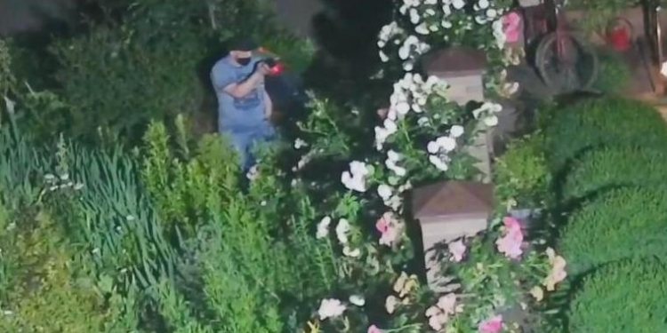 В Николаеве объявился «цветочный маньяк» (ВИДЕО)