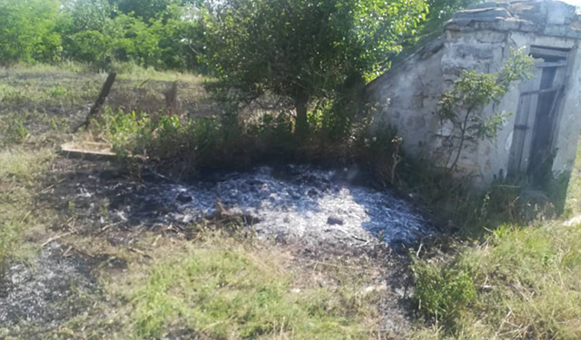 На Николаевщине за сутки потушили несколько пожаров на открытых территориях (ФОТО)