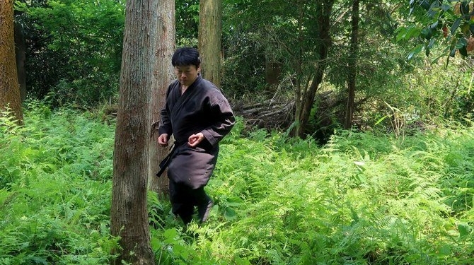 В Японии присуждена первая в истории ученая степень по изучению ниндзя