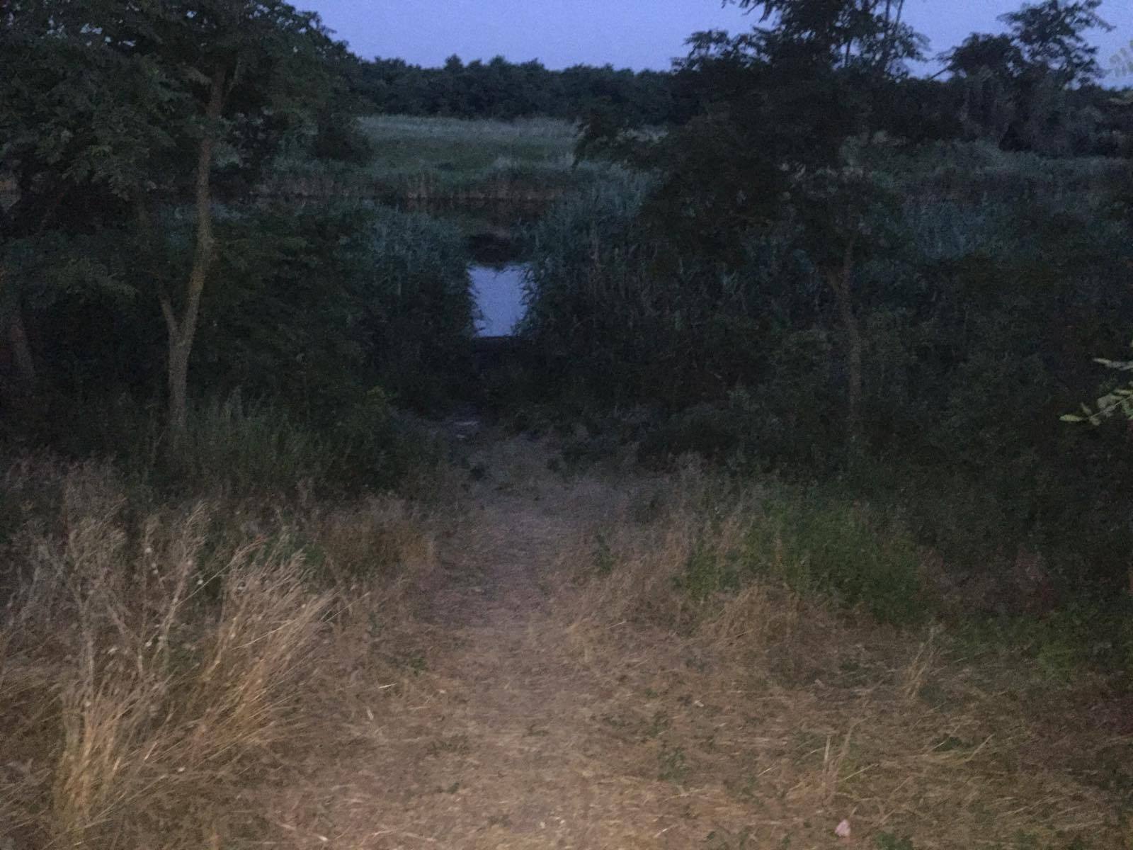 На Николаевщине утонул 7-летний мальчик