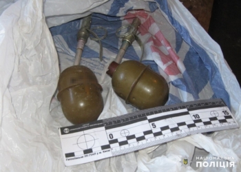 На Николаевщине полицейские приехали по вызову о домашнем насилии, а нашли гранаты
