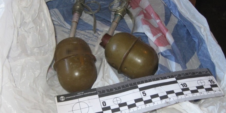 На Николаевщине полицейские приехали по вызову о домашнем насилии, а нашли гранаты