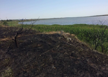 На Николаевщине выгорело почти 2 га открытых территорий