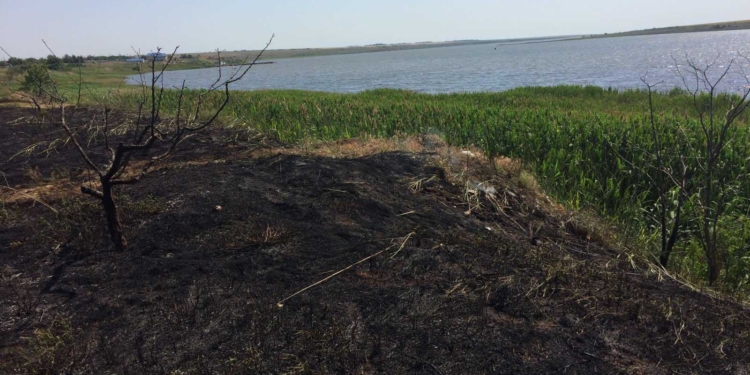 На Николаевщине выгорело почти 2 га открытых территорий