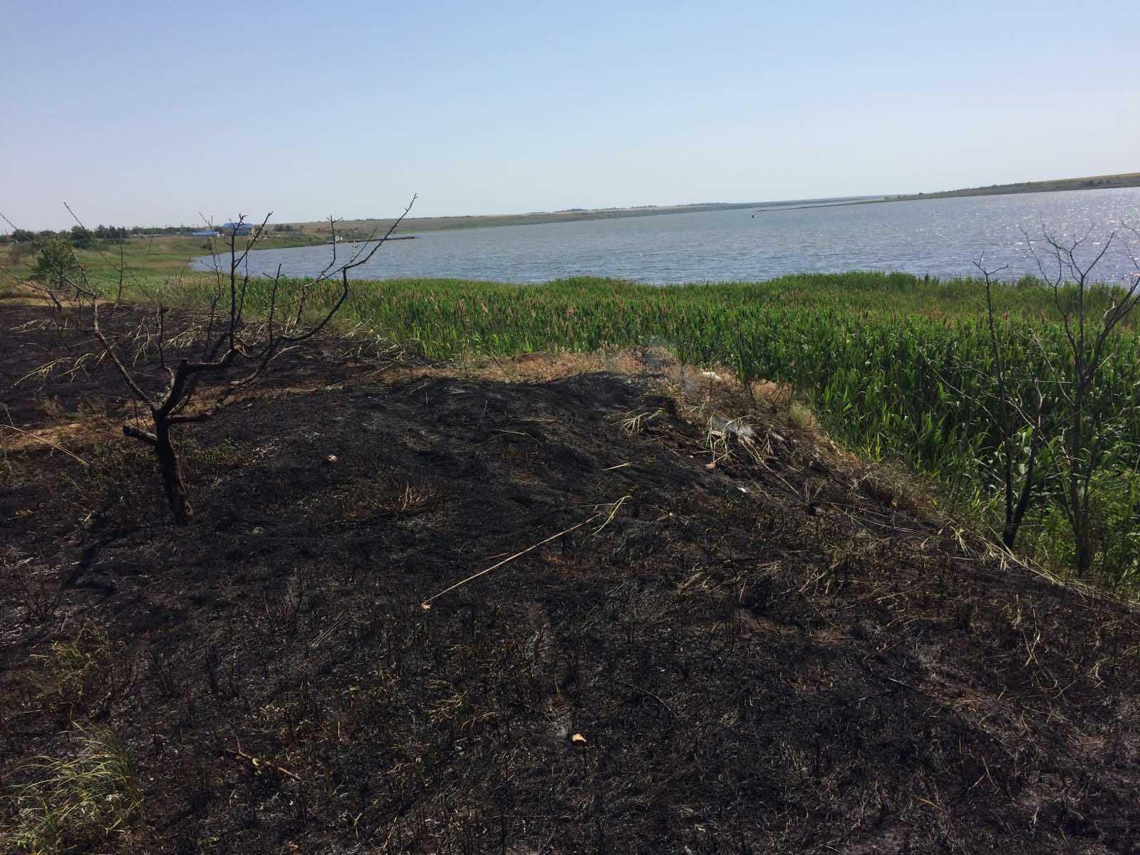 На Николаевщине выгорело почти 2 га открытых территорий