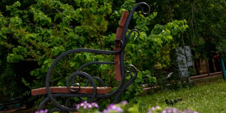 Наконец-то. В Николаеве высадили цветы и поставили скамейки (ФОТО)