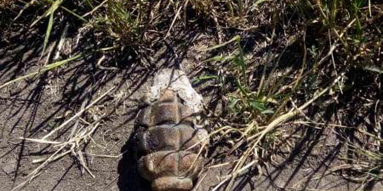 Николаевская область: пиротехники уничтожили ручную гранату и 100-мм артснаряд (ФОТО)