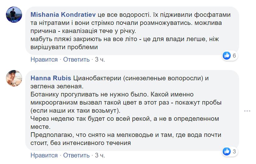 В Николаеве пляж "Чайка" покрылся зеленой пеной. Горожанам советуют обращаться к губернатору (ФОТО) 12