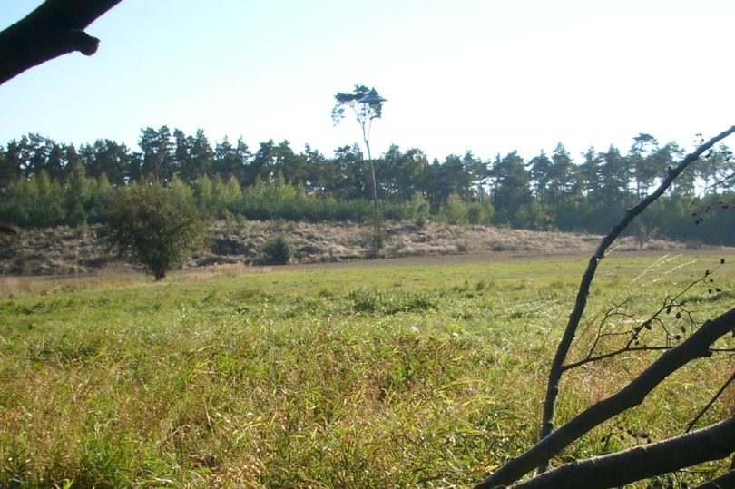 В Польше сняли НЛО - "это лучшее фото за 40 лет" (ФОТО) 6