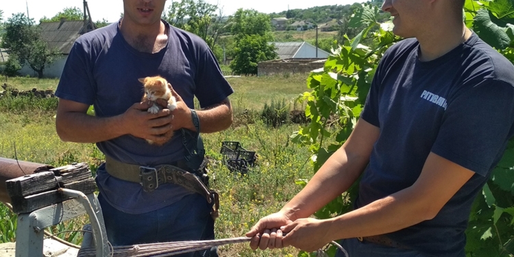 Чтобы спасти котенка, пожарным Николаевщны пришлось лезть на 7-метровую глубину (ФОТО)