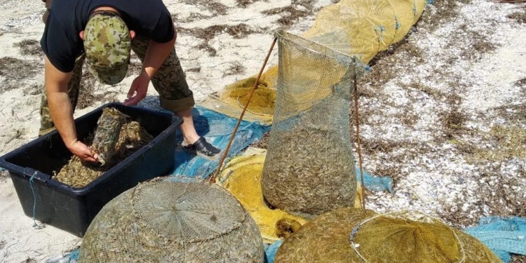 На Николаевщине пограничники вместе с правоохранителями поймали четырех браконьеров с 95 кг креветок (ФОТО)