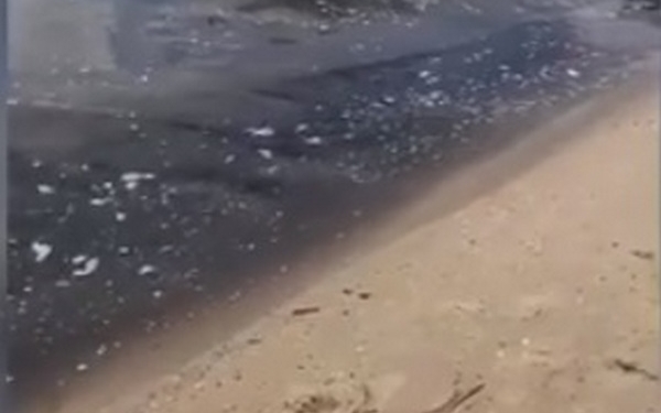 Вода на центральном пляже Очакова покрыта маслянистой пленкой (ВИДЕО)