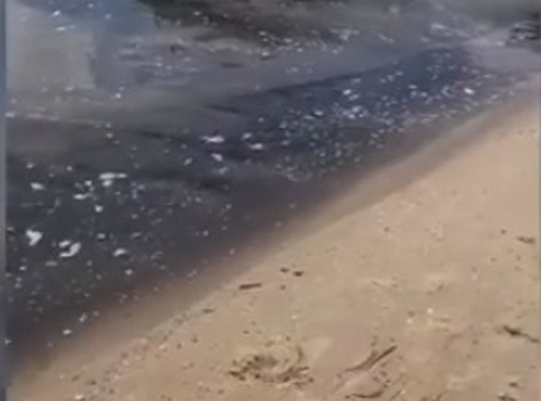 Вода на центральном пляже Очакова покрыта маслянистой пленкой (ВИДЕО) 3