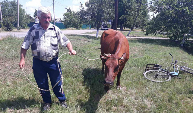 На Николаевщине спасли Красавицу (ФОТО)