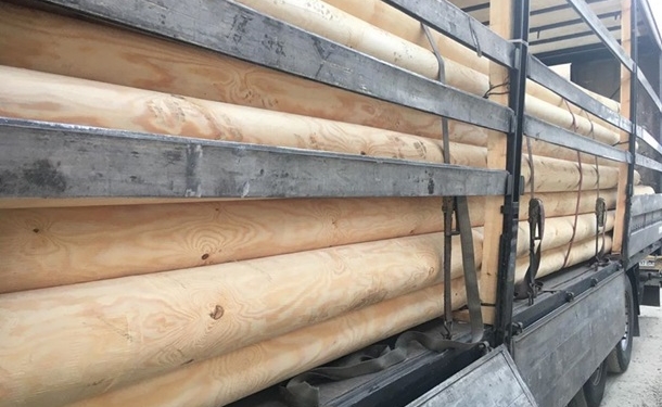 Пограничники поймали гражданина Греции на вывозе украинского леса