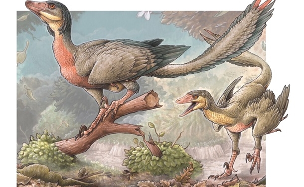 Палеонтологи открыли новый вид динозавров