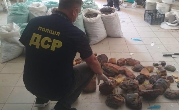 На Ровенщине изъяли уникальный янтарь на $1,2 млн