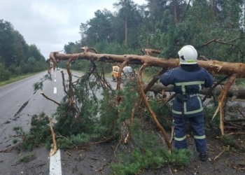 В Украине обесточены 112 сел из-за непогоды
