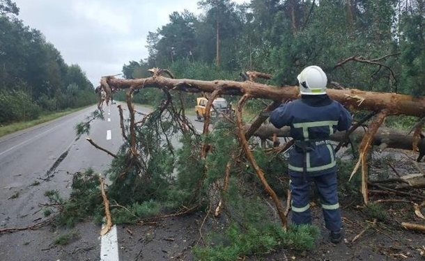 В Украине обесточены 112 сел из-за непогоды