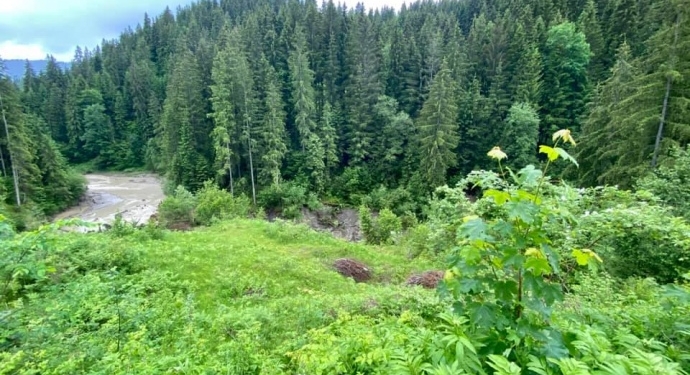 В Карпатах из-за оползней исчезло целое озеро, бывшее туристической достопримечательностью (ФОТО)