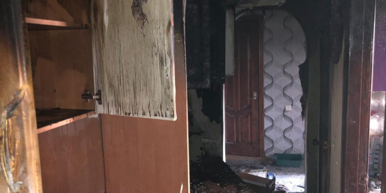 Из-за утюга в Николаеве загорелась квартира – спасли двух котов и крысу в клетке (ФОТО)