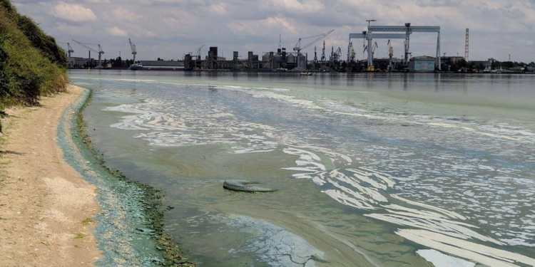 Реке плохо: берег Южного Буга на окраинах Николаева покрылся сине-зеленой отвратительно пахнущей пеной (ФОТО)