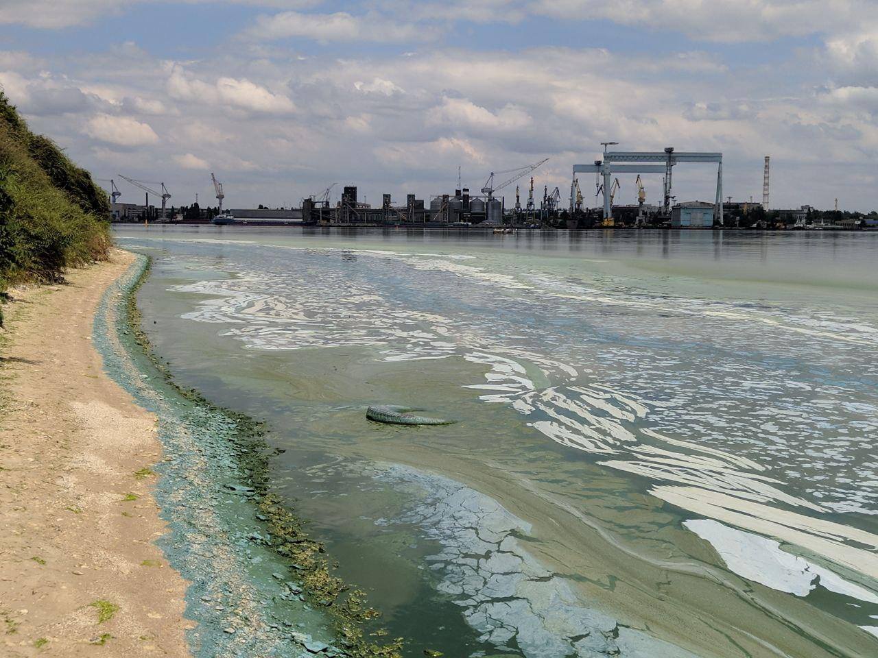 Реке плохо: берег Южного Буга на окраинах Николаева покрылся сине-зеленой отвратительно пахнущей пеной (ФОТО)