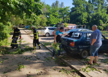 В Николаеве дерево рухнуло на автомобиль (ФОТО, ВИДЕО)