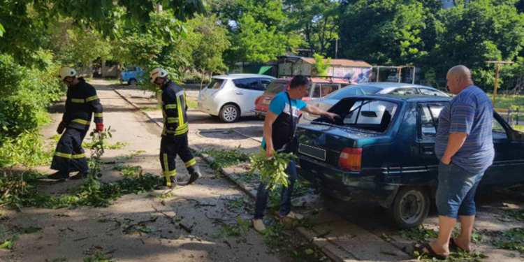 В Николаеве дерево рухнуло на автомобиль (ФОТО, ВИДЕО)