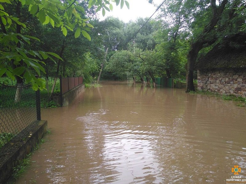 Наводнения в Украине: Венгрия готова направить на помощь солдат батальона "Тиса" 1