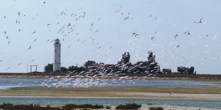 Зеленский на Троицу поедет на Азов – на Бирючий остров (ФОТО)