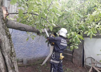 В Арбузинке спасатели освободили крышу от дерева (ФОТО)