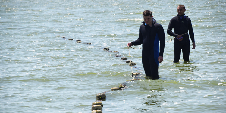 Водолазы почистили морское дно в Рыбаковке и Луговом (ФОТО)