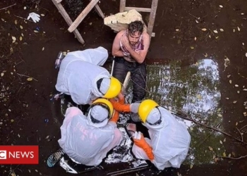 На Бали британец провел 6 дней в колодце, куда упал, убегая от собаки