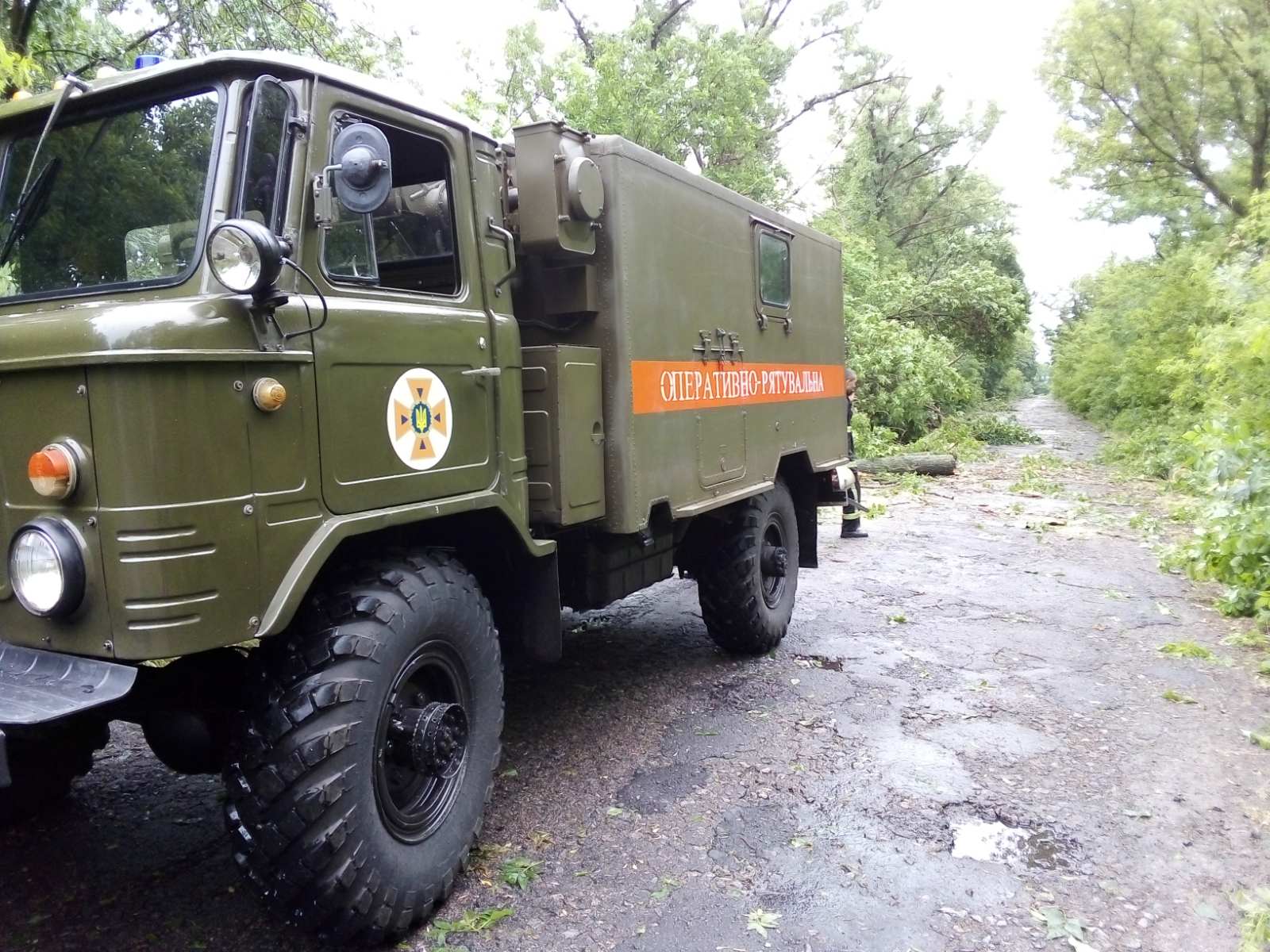 Непогода на Николаевщине: спасатели убрали с дорог 9 деревьев (ФОТО)