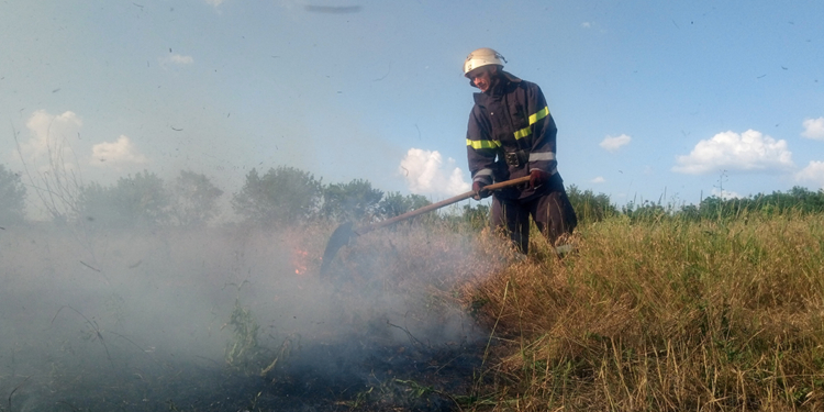 Николаевская область: спасатели ликвидировали 4 пожара на открытой территории площадью 4 тыс. м. кв. (ФОТО)