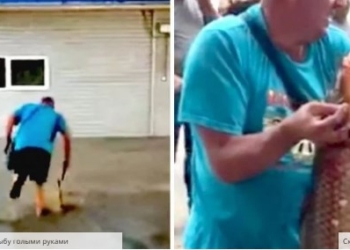 В Черновцах мужчина руками поймал огромную рыбу на затопленном рынке (ВИДЕО)