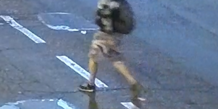 Верни на место! Вор с тату украл деревья возле ЧНУ им. Могилы (ФОТО, ВИДЕО)