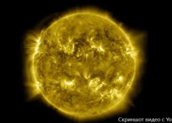 10 лет за один час. NASA показало завораживающее видео солнечной активности