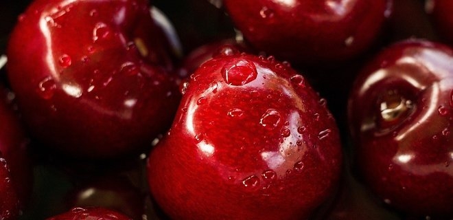 В июле запатентуют первую украинскую ягоду