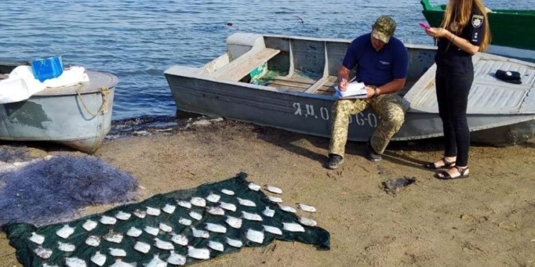 На Николаевщине задержали бригаду рыбаков, которые на Тилигульском лимане сетями ловили глосика (ФОТО)