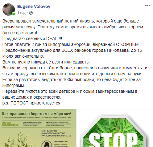 Николаевский активист пообещал лично скупать вырванную амброзию, мэр поддержать начинание отказался 1