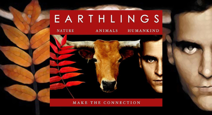 Создатели фильма “Земляне” отреагировали на события в Луцке: не одобряем террор