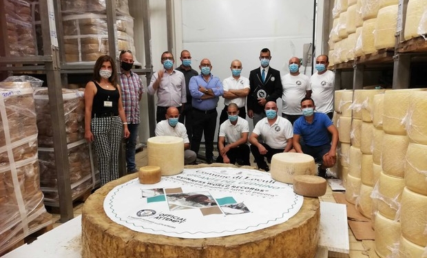 Головка сыра весом почти 600 кг: в Италии побили прошлогодний рекорд по изготовлению пекорино (ВИДЕО)