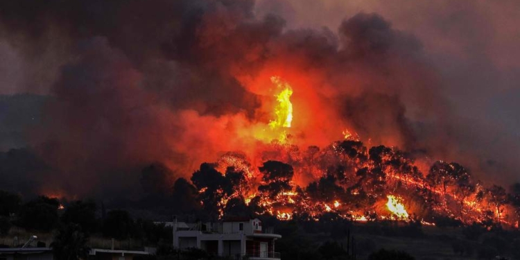 В Греции из-за лесного пожара эвакуировали два села и школу-интернат для людей с инвалидностью (ФОТО, ВИДЕО)