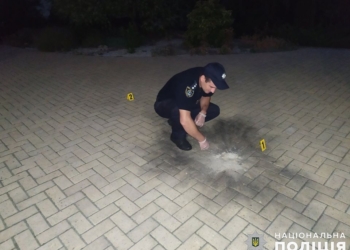 В Новоодесском районе Николаевщины во двор местному предпринимателю бросили гранату (ФОТО)