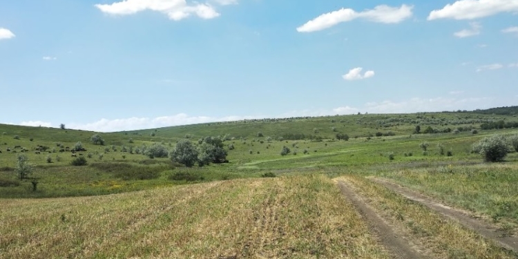 На Николаевщине без разрешений неизвестные распахали землю в ландшафтном заказнике и вырастили на ней ячмень